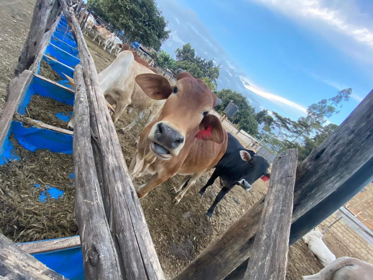 Feeding time
