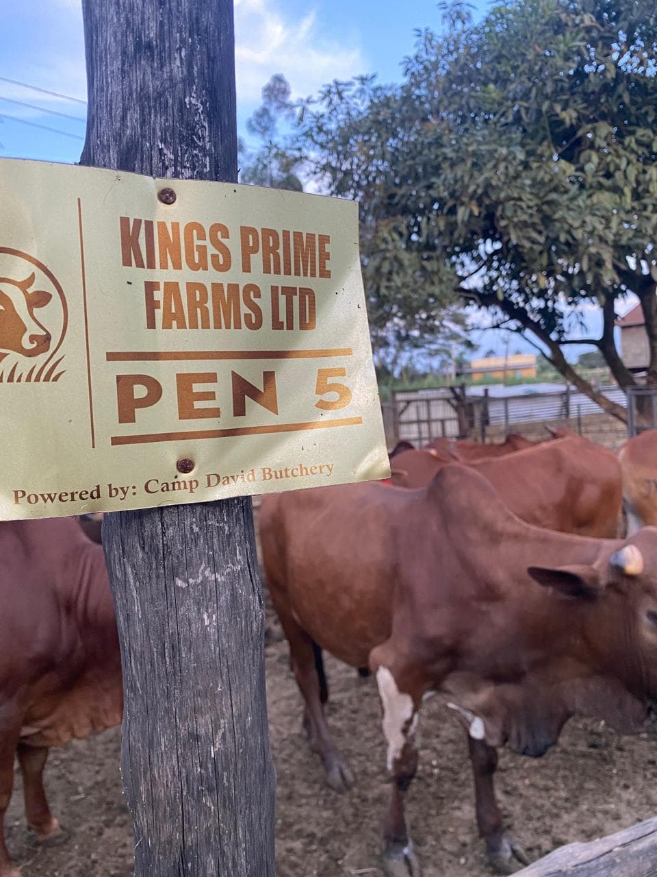 Pen 5 signage