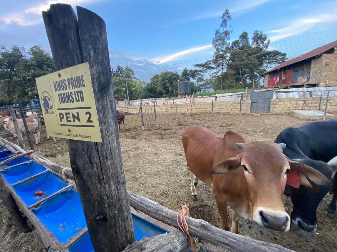 Kings Prime Farms land, Kenya