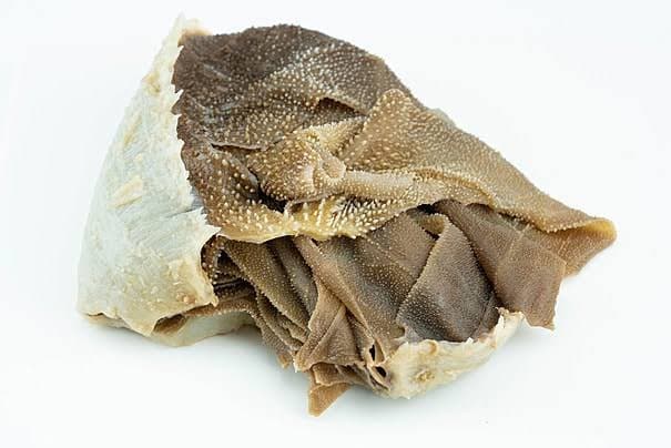 BOOK TRIPE (GAKUO KAINGI)